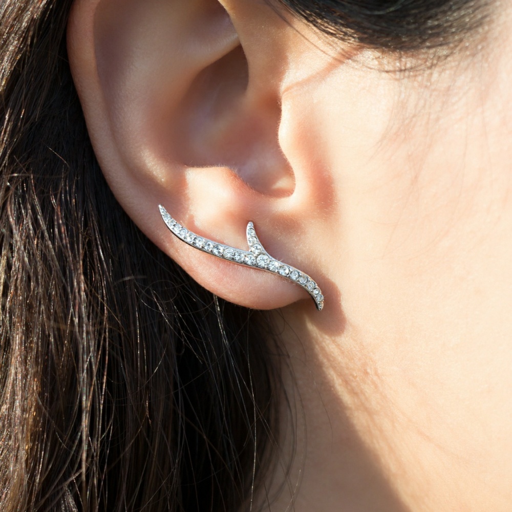 Touchstone Crystal Earrings